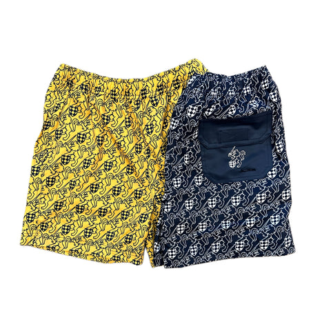 All Over Boys' Lion and Sword Shorts
